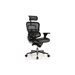 金豪+大班椅系列 Erghuman plus office chair